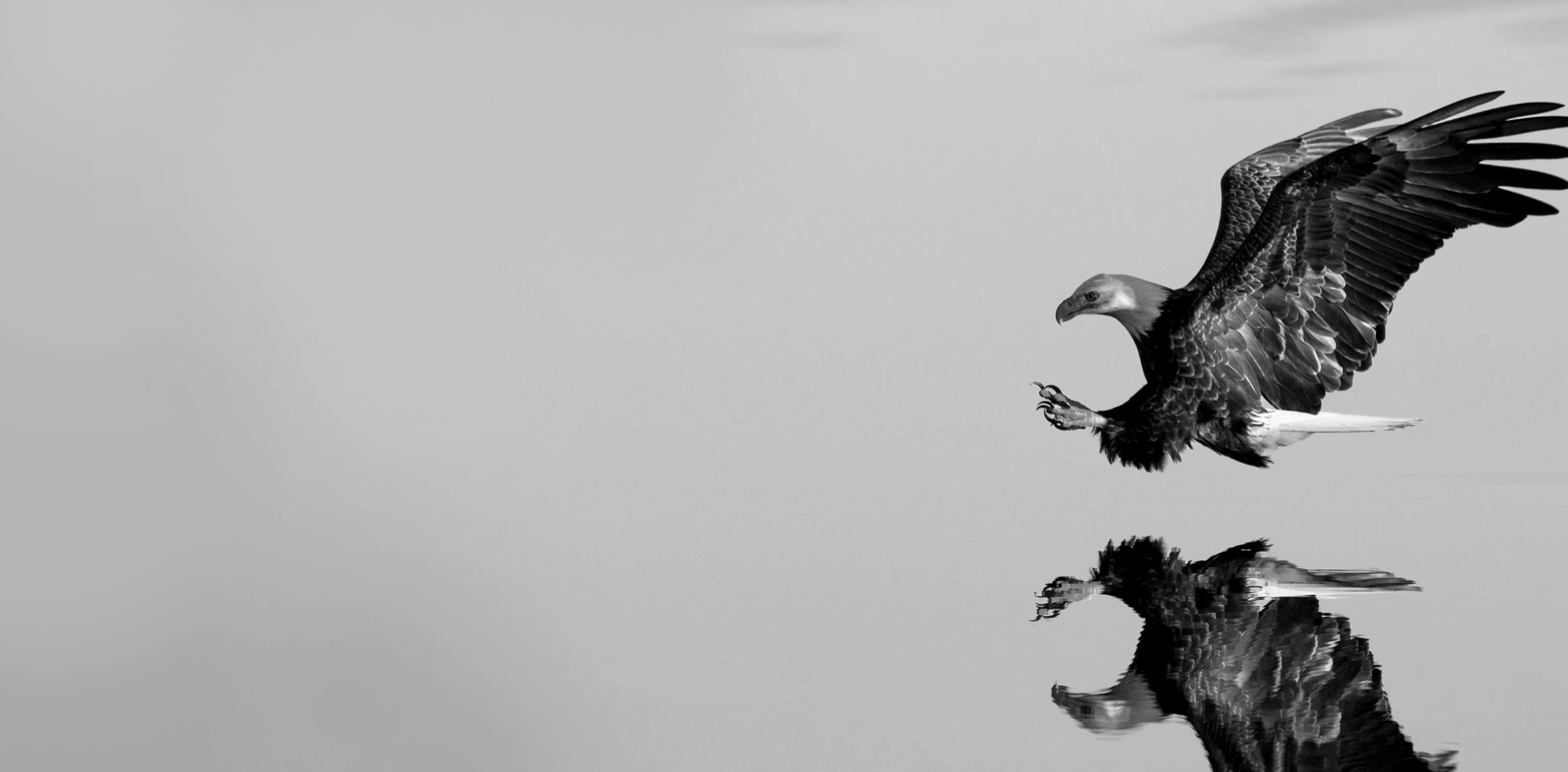 finbofs-slider